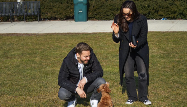 Does Your Dog Need a Joint Supplement? Here Are 5 Ingredients to Avoid
