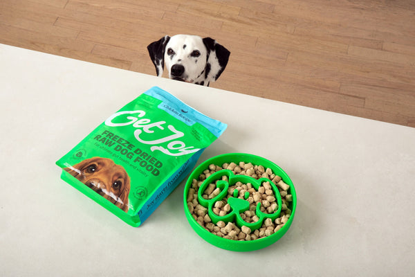 Get Joy freeze-dried raw dog food served on a kitchen countertop