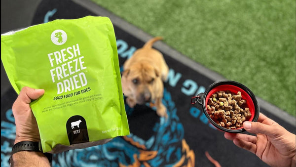 Fresh dog food in a small bag and some in a scooper with a dog below, waiting for the dog food.