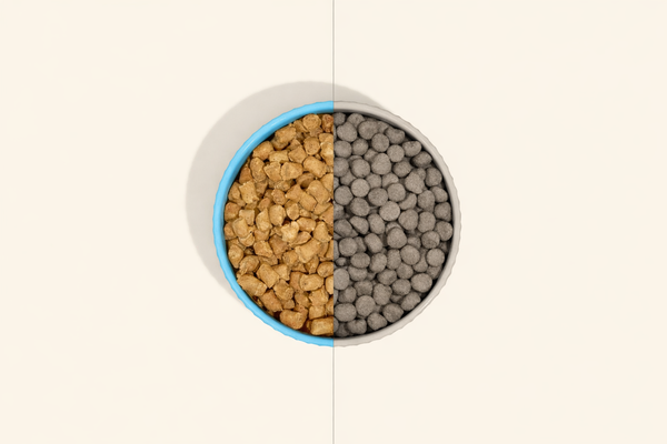 Freeze Dried Dog Food vs Kibble: Which Is Better?