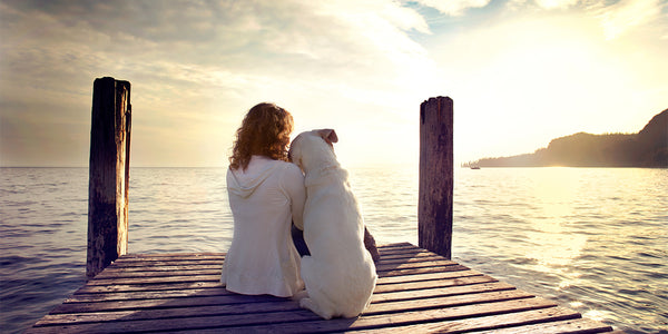 Dogs Help Us Build Healthy Habits