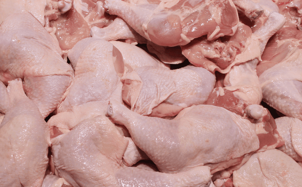 Raw chicken meat