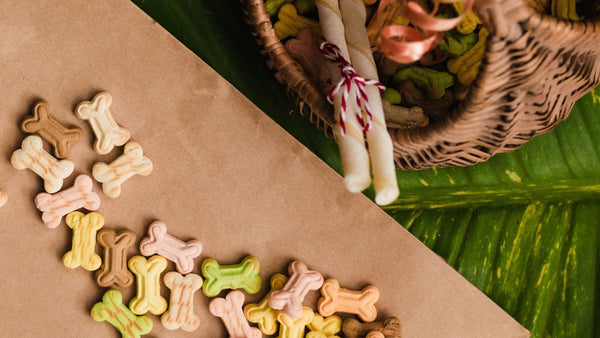 Treats for dogs with allergies