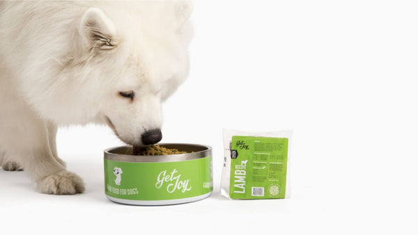 A fluffy white dog eats out of a green Get Joy food bowl. The green bag of fresh dog food is displayed next to the bowl.