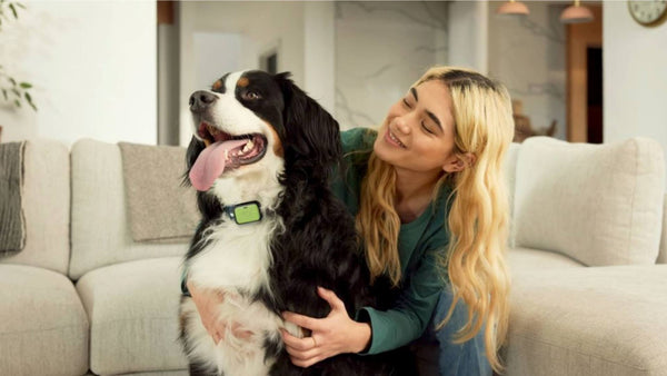 A blonde woman smiles as she holds her black and white dog, who is wearing a green Get Joy collar, demonstrating grooming tips.