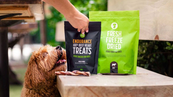 A dog sits and patiently looks at a black bag of Get Joy's dog treats and a green bag of Get Joy's fresh freeze dried food outside on a bench.