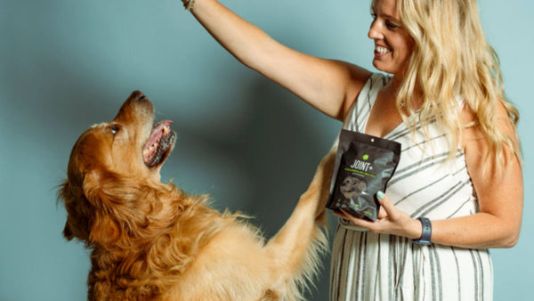 A woman and a golden retriever stands in front of a blue background. She is wearing a black and white striped dress and holding a black bag of Get Joy dog treats. She is holding a treat up as her dog stands up and looks at the treat.