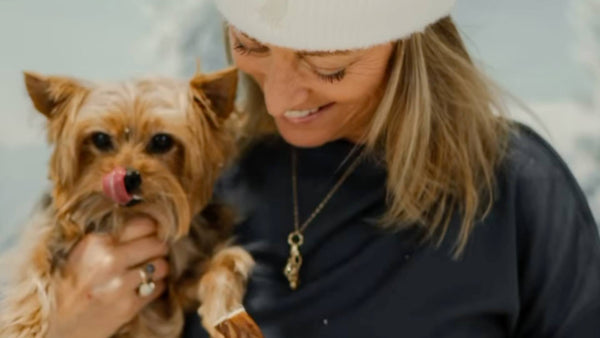 A small dog is held by its owner, who is holding up a dog treat.
