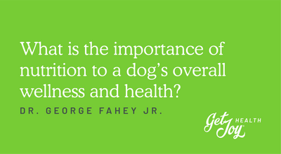 What is the importance of nutrition to a dog's overall wellness and health?
