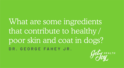 What are some ingredients that contribute to healthy / poor skin and coat in dogs?