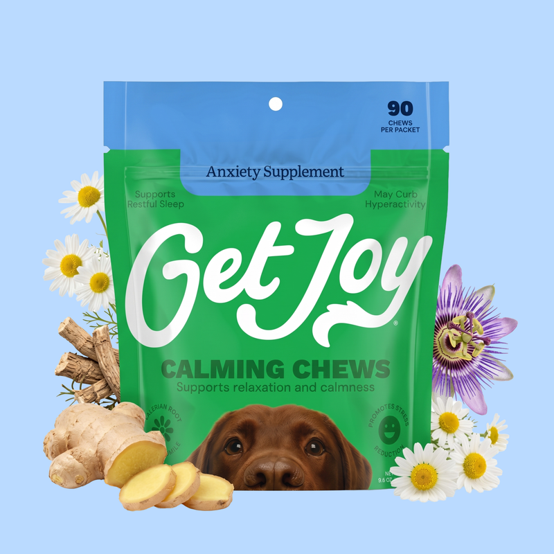 Get Joy Calming Chews for dogs — daily supplement for stress and separation anxiety (90 chews)