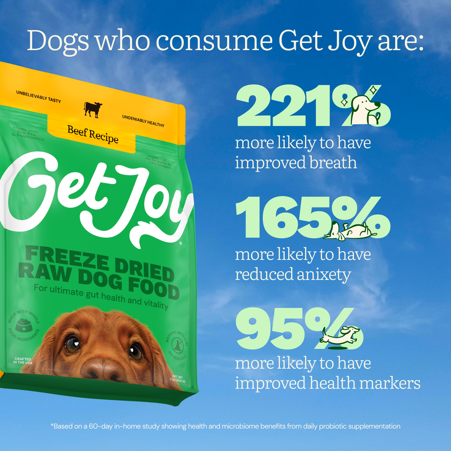 Get Joy Freeze-Dried Raw Beef — nutrient-rich ingredients for gut-healthy dog nutrition