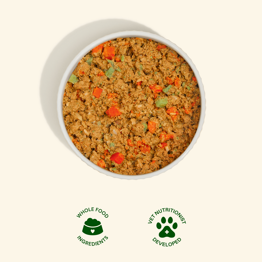 Get Joy Fresh dog food served in a bowl — Beef Recipe | #flavor_beef