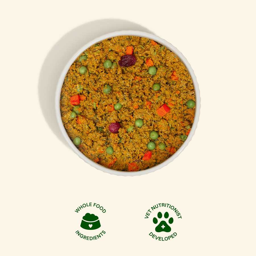 Get Joy Fresh dog food served in a bowl — Lamb Recipe | #flavor_lamb