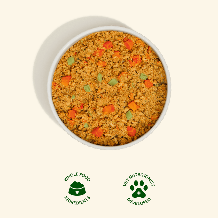 Get Joy Fresh dog food served in a bowl — Turkey Recipe | #flavor_turkey