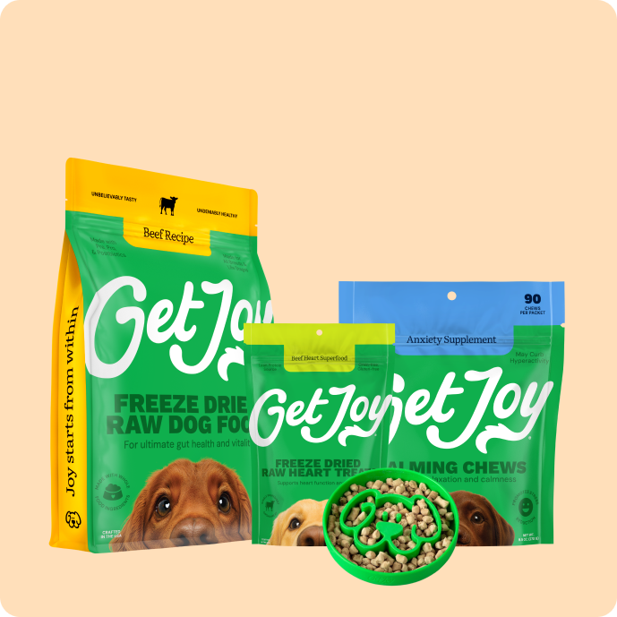 Puppy Essentials Bundle