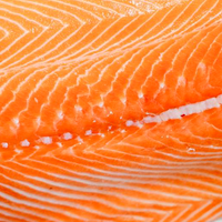 Salmon Oil