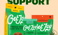 Gut Health