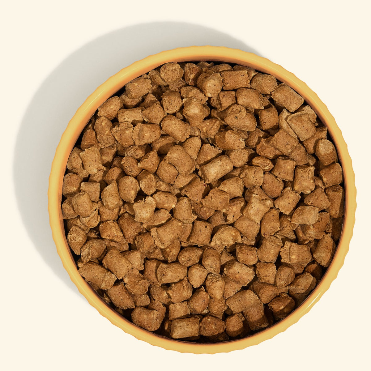 A bowl of Freeze Dried Raw beef recipe