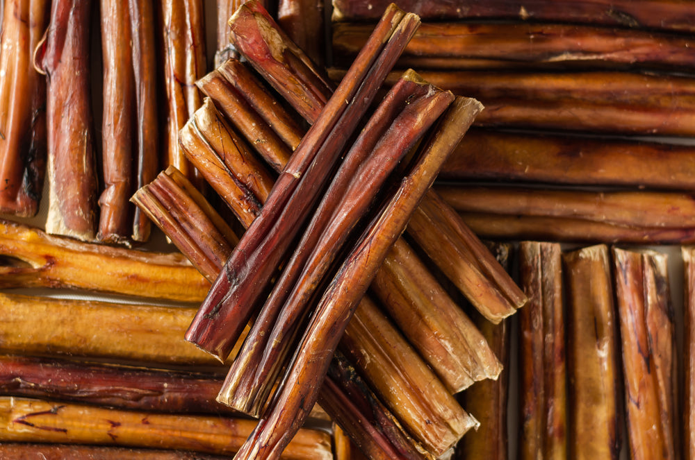 Why Bully Sticks are the Perfect Dog Treat
