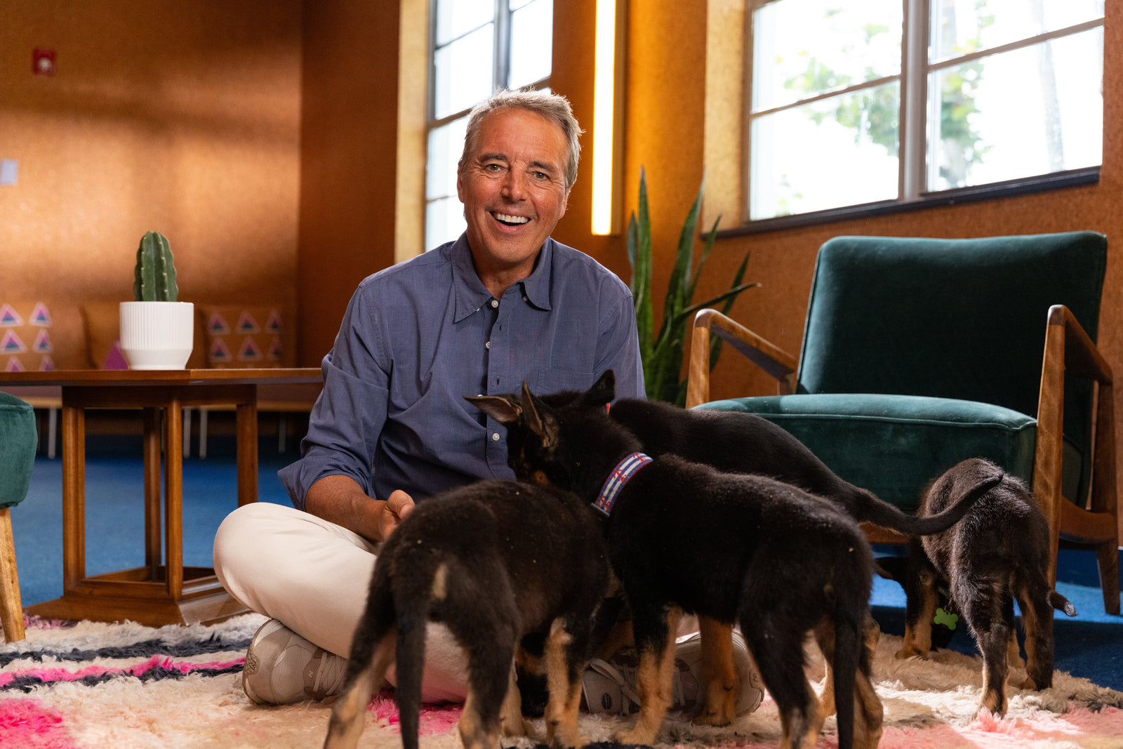 Joy Is the Real Fountain of Youth—for Dogs and Humans Alike