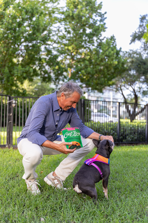 The Secret to Longevity for You and Your Dog: Healing the Gut