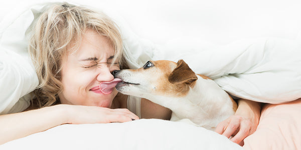 What Your Dog's Bad Breath Is Really Telling You