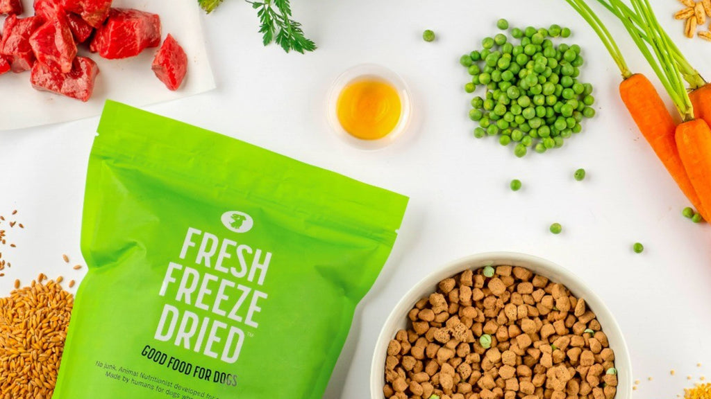 Dog Food Samples: Should I Try Before I Buy