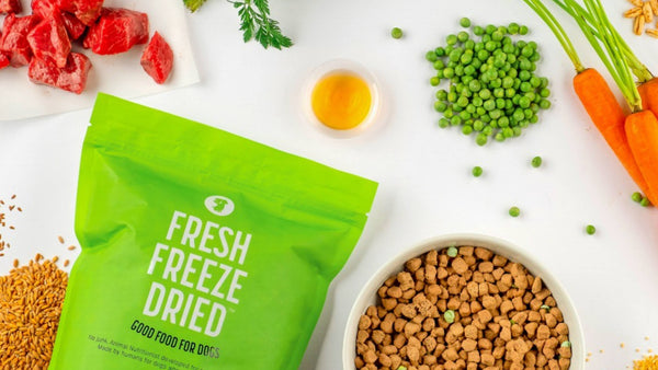 Dog Food Samples: Should I Try Before I Buy