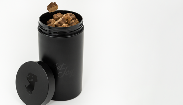 Does Your Dog Need a Gut Supplement? Here Are 6 Ingredients to Avoid