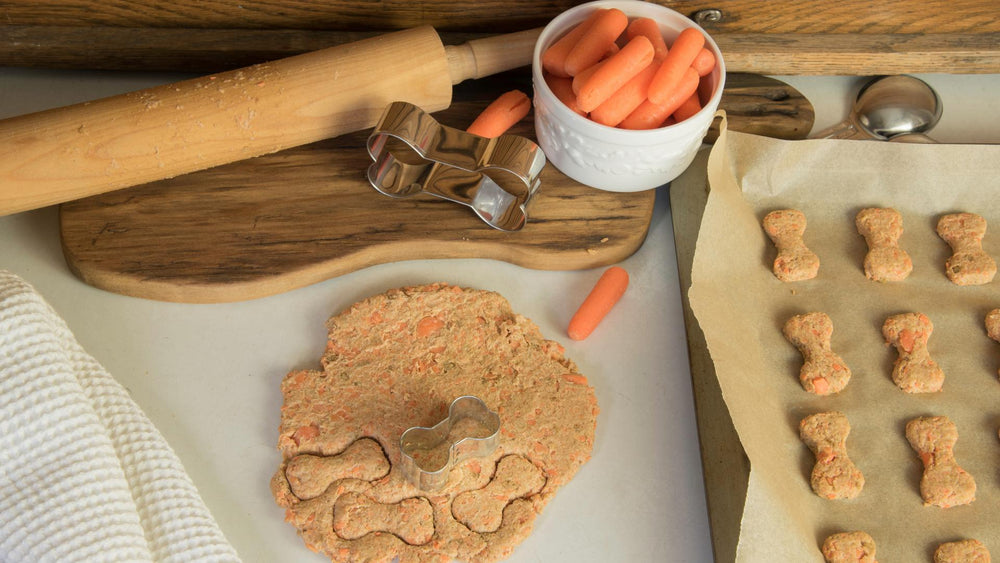 Homemade Dog Treats Recipes to Show Your Love on Valentine's Day