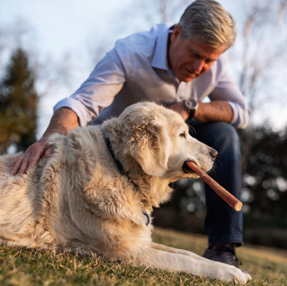 A man sits happily with his older Golden Retriever. Image demonstrates how ethical dog shopping turns out positively.