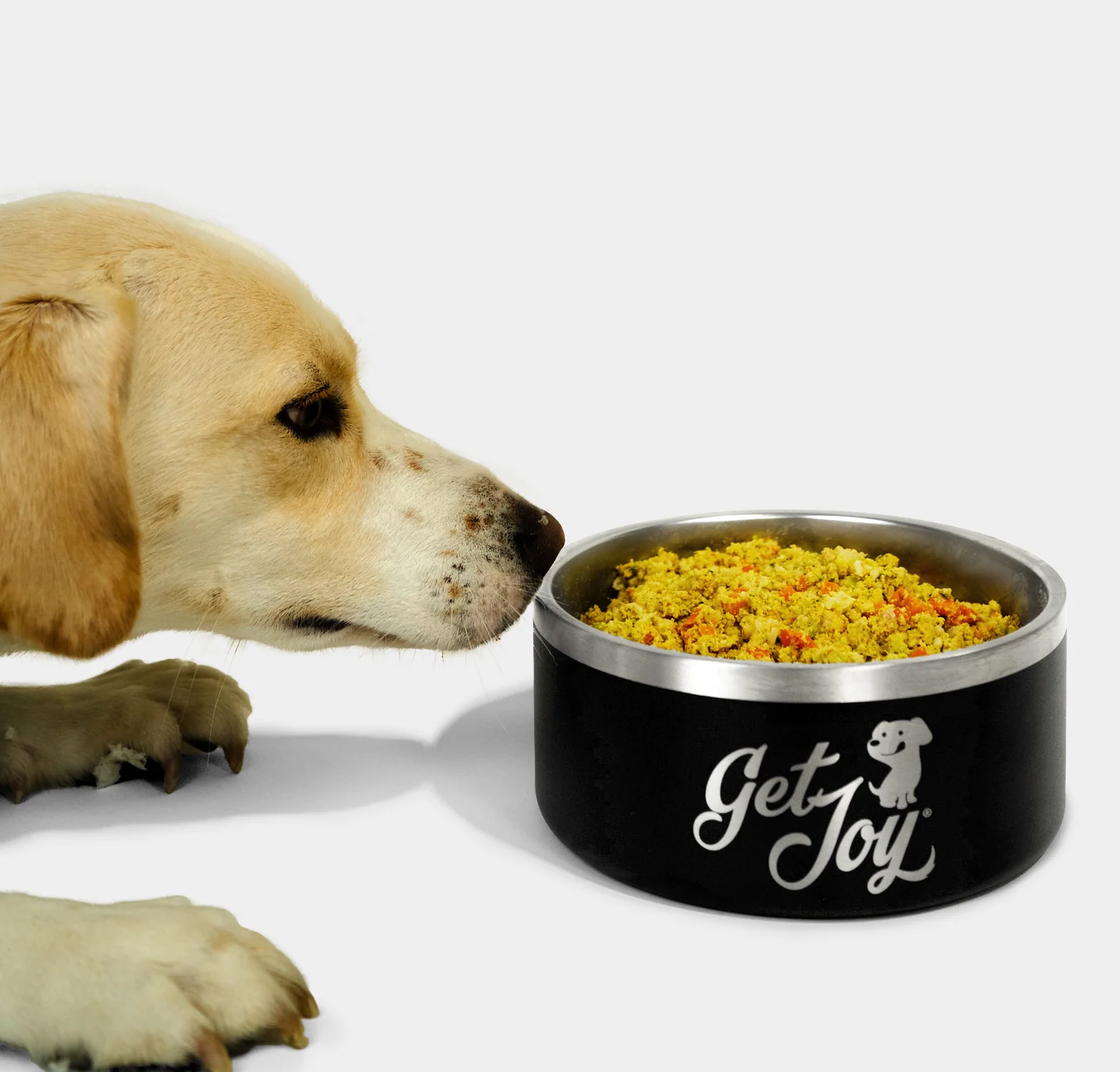 A small fluffy white dog wears a hat and is surrounded by Get Joy's dog treats.