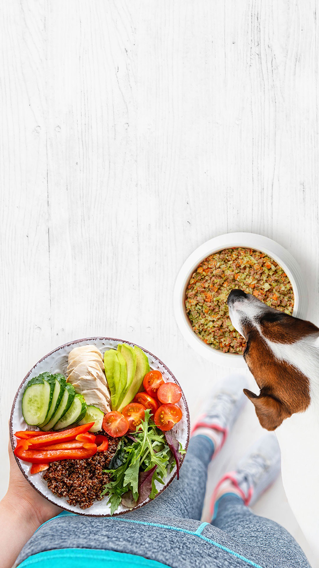 A dog peers up over a car seat to look and drool over the Get Joy dog food sitting in a bag in the back seat. 