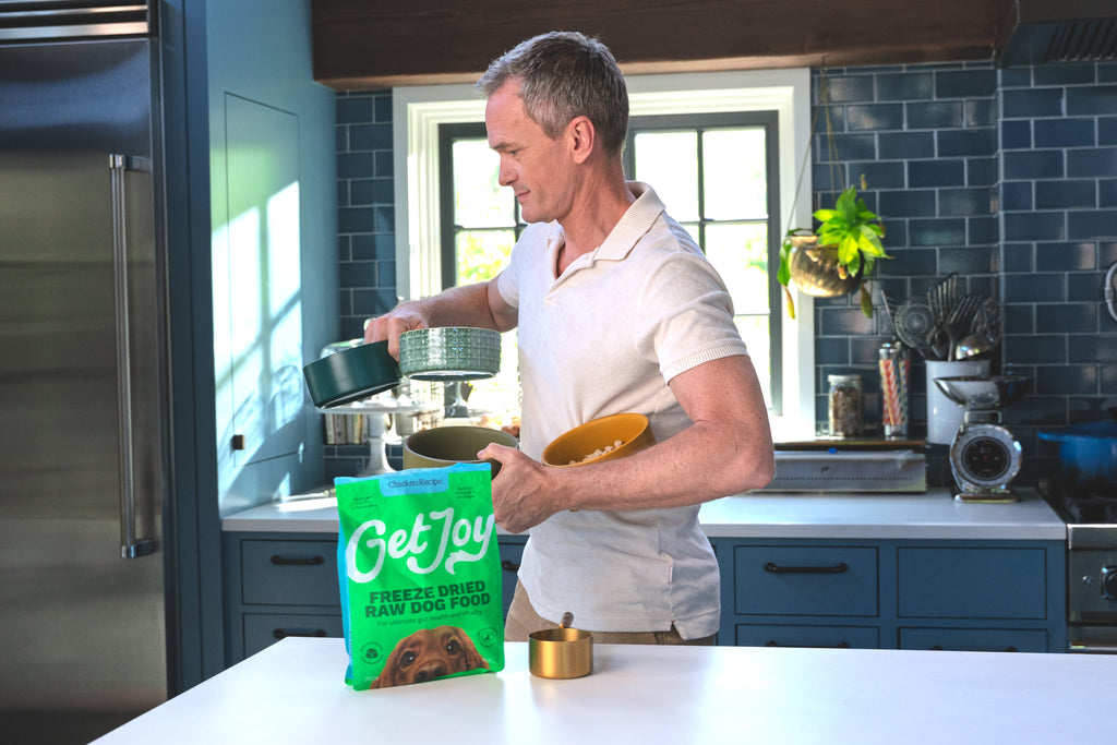 Neil Patrick Harris feeding his dog Get Joy freeze-dried raw