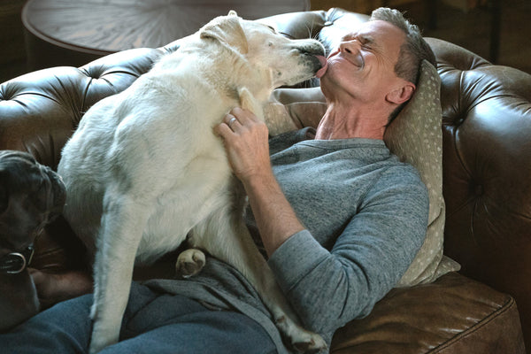 Neil Patrick Harris and one of his four dogs