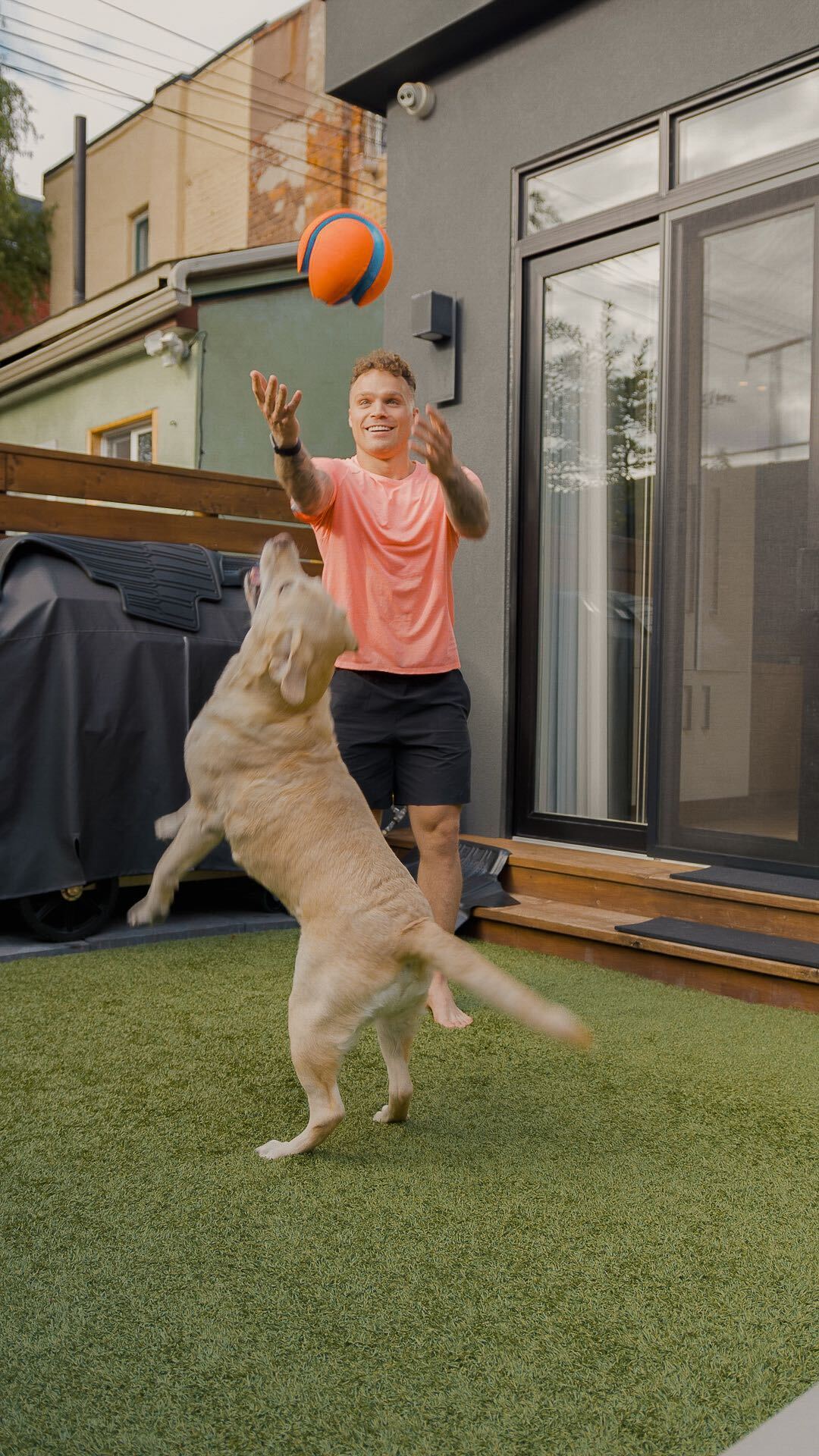 A golden retriever jumps into the air to catch a toy their owner is tossing to them.