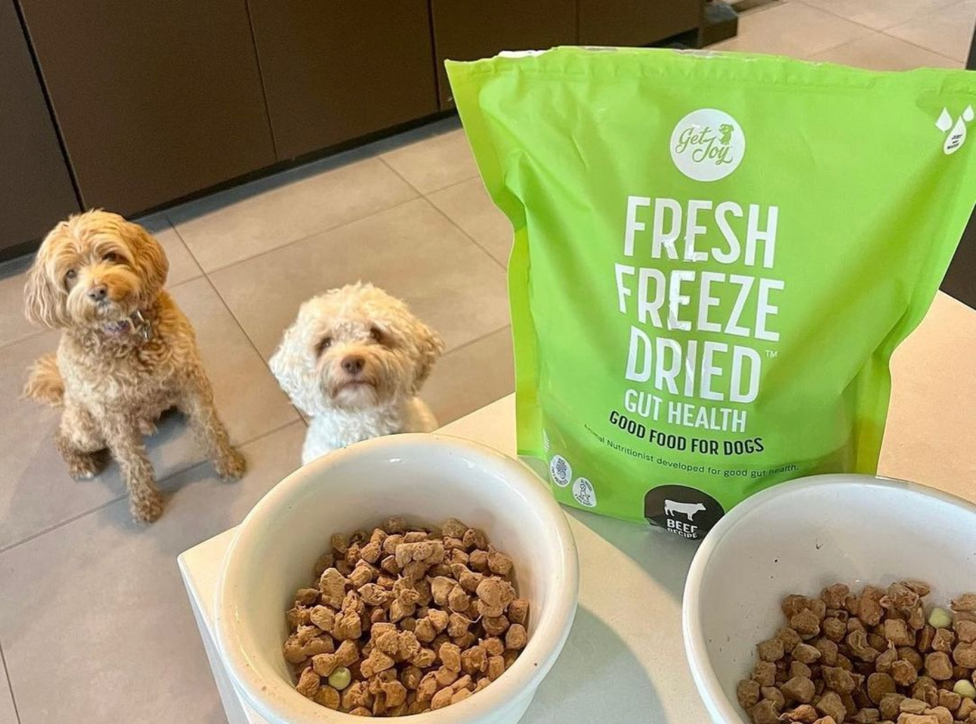 A white lab goes through dog training with the help of its owner and Get Joy dog treats.