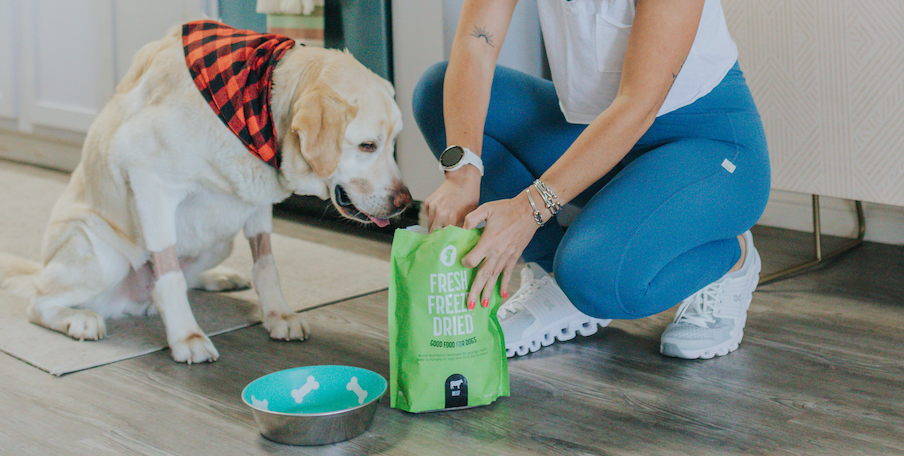 A white dog sits at a table that has fresh freeze dried food and dog treats on it.