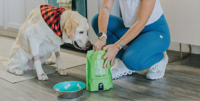 Everything You Need to Know About Fresh Freeze Dried Dog Food