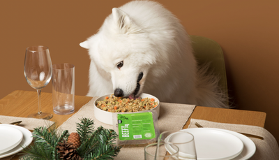 What Holiday Foods Can Dogs Eat? Do’s and Don’ts