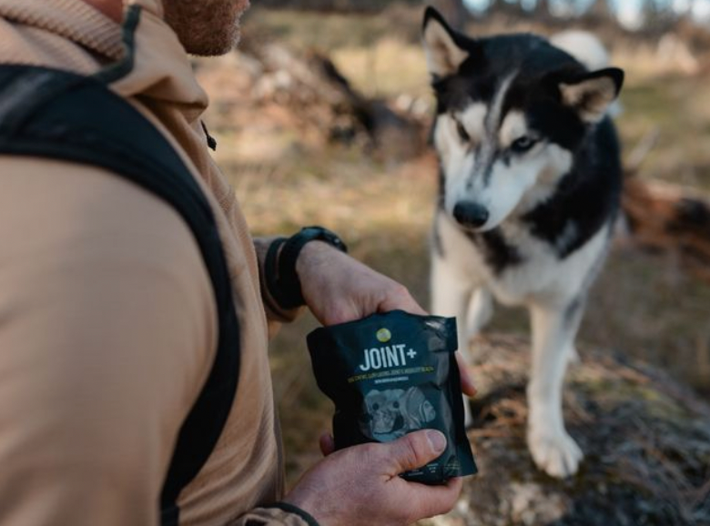 A Doberman dog stands patiently and licks his nose while looking up at a black bag of Get Joy's Joint+ supplements.