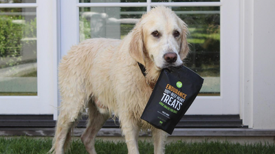 Recommended Dog Treats For National Feed a Rescue Pet Week
