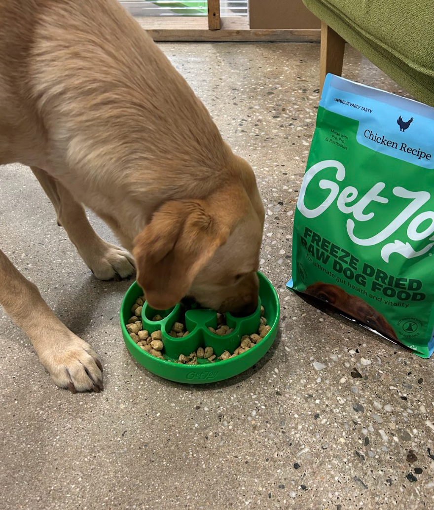 Why Is Freeze Dried Raw Dog Food So Expensive? (And Is It Worth It?)