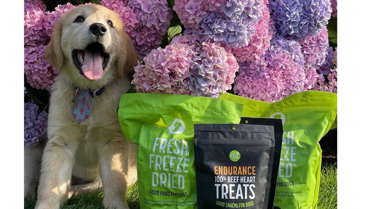 A young healthy and happy dog sitting next to bags of Get Joy Fresh Freeze Dried dog food.