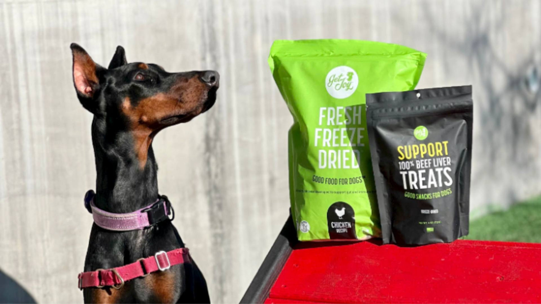 A Doberman sits outside next to two bags of Get Joy food and treats, which are displayed on a red table.