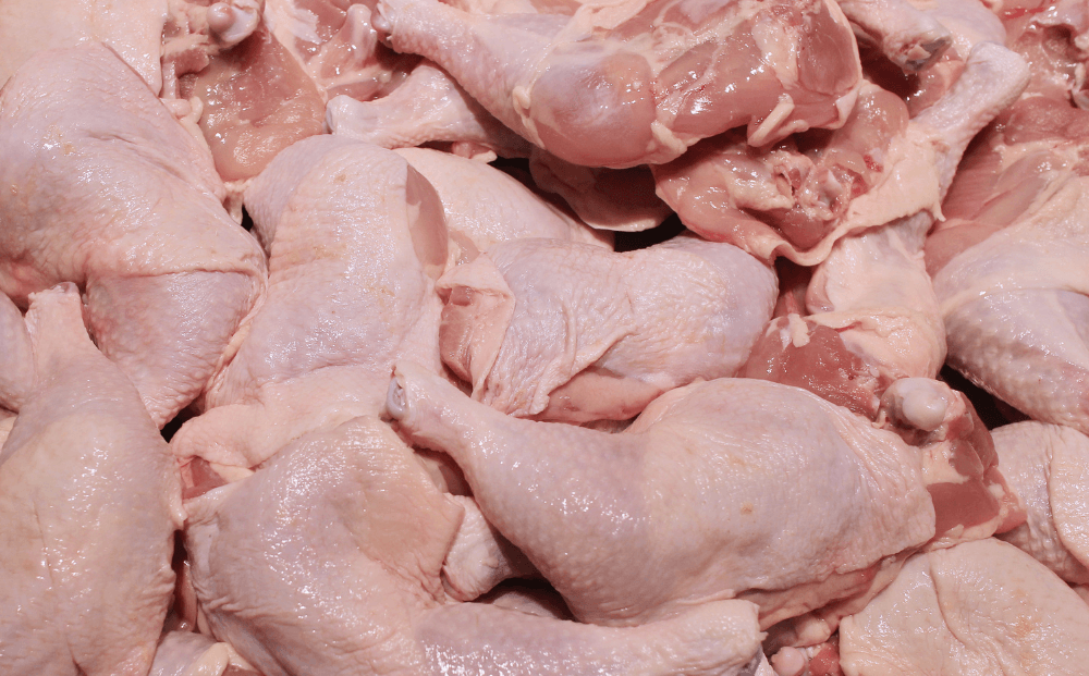 Raw chicken meat