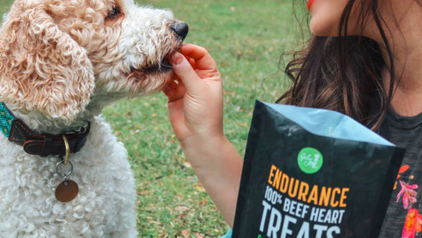 A woman holds a bag of black Get Joy dog treats outside on the grass while holding one up to her fluffy white dog's mouth.