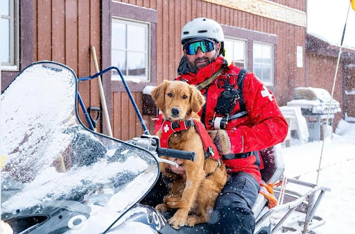A man sits on a snowmobile with his brand new Christmas Puppy in his lap, attached by a harness. 