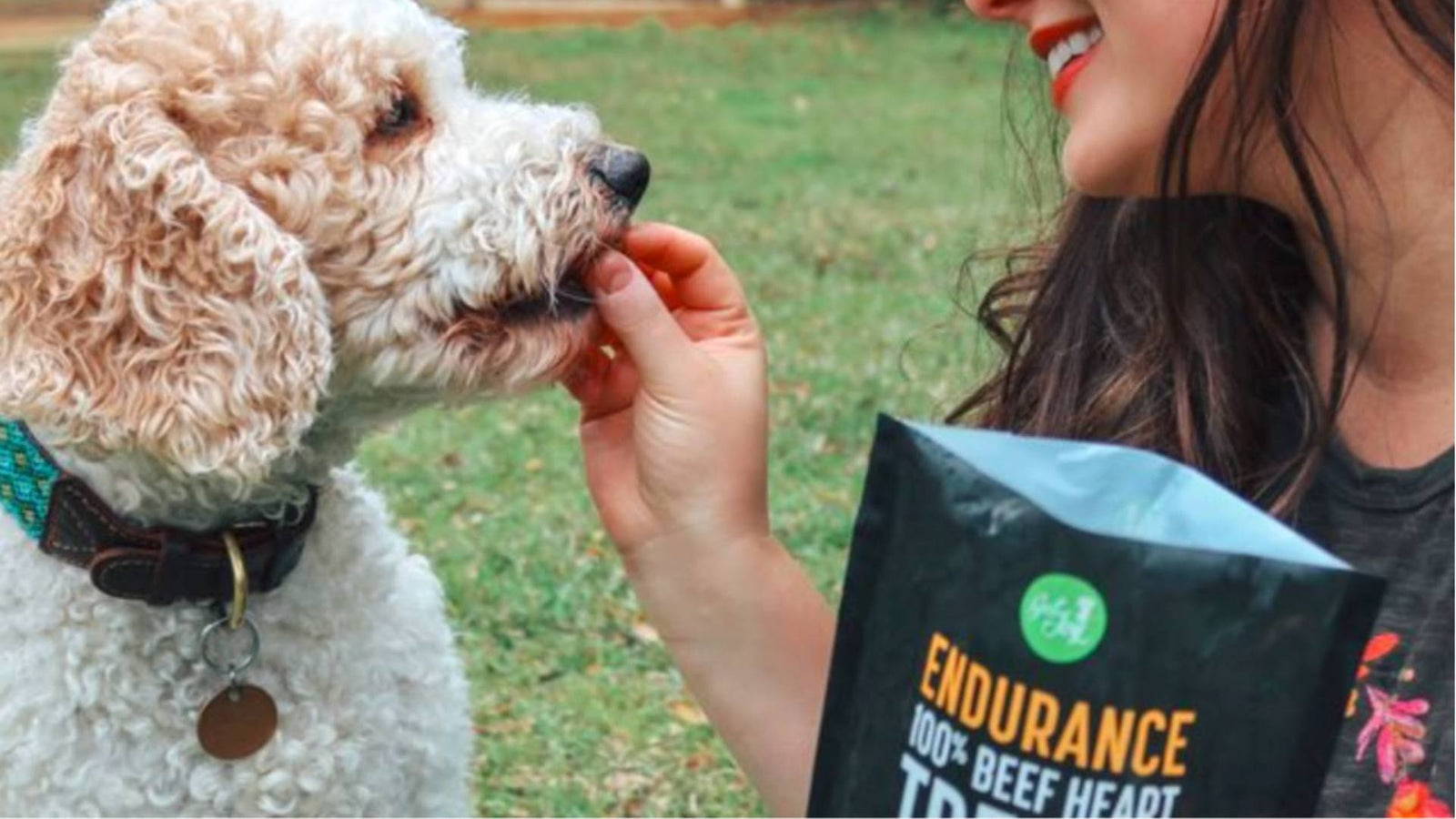 A fluffy white dog eats a Get Joy dog treat out of his owners hand. She is holding a black bag of dog treats in her other hand and smiling.